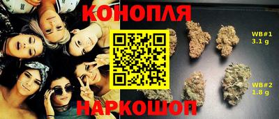 гидропоника Кунгур