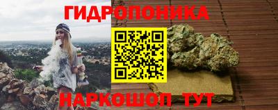 гидропоника Кунгур