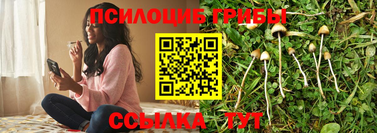 Тайшет  Псилоцибиновые грибы мицелий  Вход с VPN 